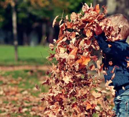 young boy with Autumn leaves