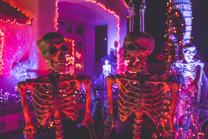 halloween decoration skeletons
