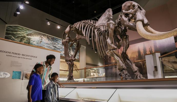 Our Top 9 Fun Things To Do With The Kids In Memphis